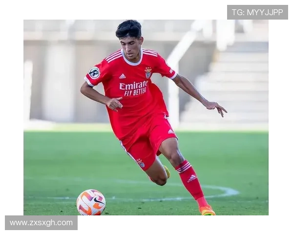 本菲卡持续提高状态：最新赛事数据分析凸显球队表现稳健