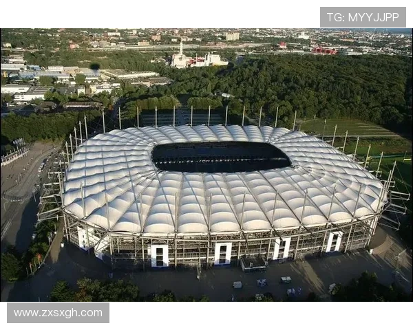 欧洲杯期间汉堡人民公园观赛活动吸引大量球迷